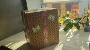 Купила орхидею на аукционе у орхо-блогера☺