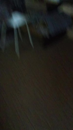 все растения в нашем доме
