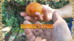 РЕМОНТ НА КАРЛА МАРКСА И НА КРАСНОФЛОТСКОЙ УЛИЦЕ.