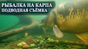 РЫБАЛКА НА КАРПА С ПВА подводная съёмка