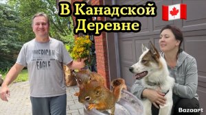 КАК ВЫЖИВАЮТ РУССКОЯЗЫЧНЫЕ ДАЛЬНОБОЙЩИКИ В КАНАДЕ: Потомство в сарае Ремонт бассейна