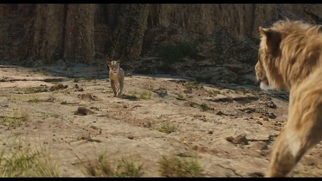 Мы вместе (OST Муфаса Король Лев)