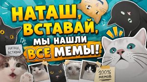 Наташ, вставай, мы нашли ВСЕ МЕМЫ!😸