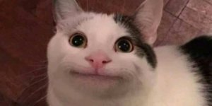 Игра без правил