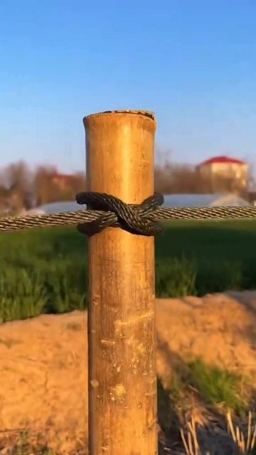 А ты об этом знал? 😳
