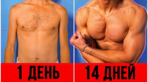 Как накачать тело в домашних условиях | Домашние тренировки | Без оборудования