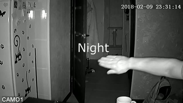 Оригинальное видео с камеры Gadinan Onvif H.264  720p