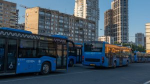Не хватает водителей: Госсовет обсудил состояние общественного транспорта в России