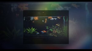 ПРАКТИКА АКВАРИУМНОЙ ГИДРОХИМИИ ЧАСТЬ 1 - 1 ВОДА КАК СРЕДА ОБИТАНИЯ