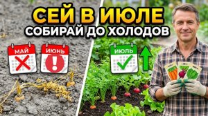 Посей в ИЮЛЕ - соберешь до холодов! 12 культур для второго урожая на вашем огороде