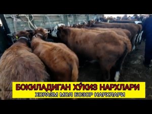 ХОРАЗМ УРГАНЧ МОЛ БОЗОРИ   6-декабря 2020 г.