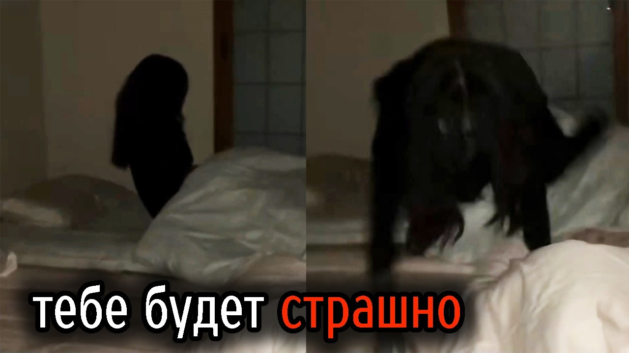 Самые Ужасные Видео со Всего Мира #61