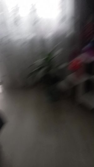 п пгзы ья,фиыйсd