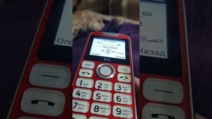 КНОПОЧНЫЙ ТЕЛЕФОН BQ-2005 DISCO