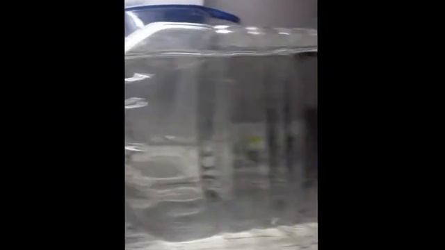 Как приготовить живую воду в домашних условиях смотреть онлайн