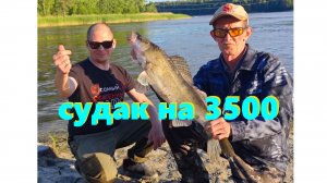 Донка. Нарезка. Хооооороший судак !