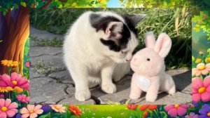 Кошка Луна и зайка Пиоша играют в саду