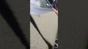 Дикий флекс от БумЗвук
