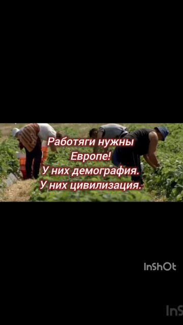 Причина войны на Украине 😢😢🤕🤕

Причина начала и бесконечного продолжения войны
