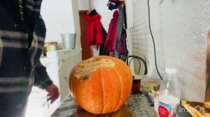 Чудо 🎃 колхозница Сколько пролежала