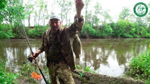 ДОБАВИЛ МЕЛАССУ НАЛОВИЛ КАРАСЕЙ, ДОНКА, САЛО, ЧЕРВЬ, ПЕНОПЛАСТ, МАРИУПОЛЬСКАЯ СНАСТЬ! РЫБАЛКА В ИЮНЕ