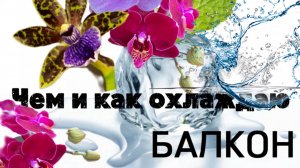 Цветут Орхидеи на балконе. СПАСЕНИЕ от ЖАРЫ!