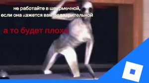 Эта шаурмечная очень странная...