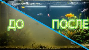 Что делать если цветет и мутнеет вода в АКВАРИУМЕ / мутная вода в аквариуме как отчистить аквариум