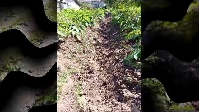 2946.mp4 смотреть онлайн