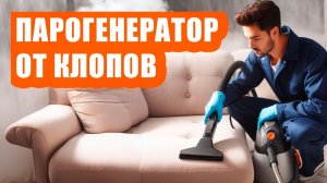 Парогенератор против клопов: эффективное решение или миф