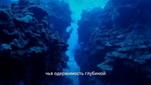 На дне Марианской впадины: что скрывает самая глубокая точка Земли