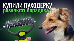 Как легко вычесать собаку! Секрет раскрыт!