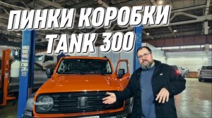Пинки коробки передач у Tank 300