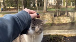 Кисловодск VLOG / Заброшенный бассейн в самом большом парке Европы