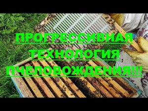 НЕОСПОРИМОЕ !!! ПРЕВОСХОДСТВО ТЕХНОЛОГИИ ИЗОЛЯЦИИ МАТОК НАД стандартным пчеловождением !!!