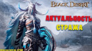АКТУАЛЬНОСТЬ СТРАЖА В ПВЕ ПОСЛЕ ГЛОБАЛЬНОГО ПАТЧА (Black Desert)