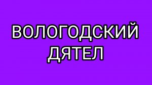 Прощальный концерт ОЛАШКИ