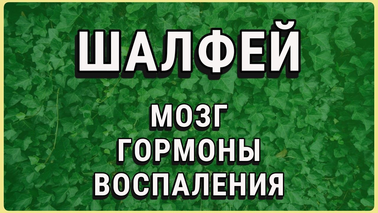 Мозг заработает через 1 час. Забудьте про приливы и сахар: на что реально способен шалфей. смотреть онлайн