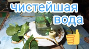 Чистейшая вода .