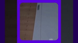 1000062953.mp4 (Собака смотрит на поступивший настенный газовый котёл в доме А-фрейм)