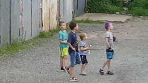 в нас кидают питарды