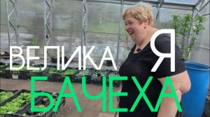 Аналитический обзор на канал Ольга Уралочка live от 16 мая 2026 года. Велика Я Бачеха.