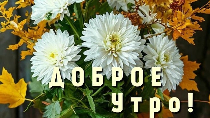 Ура! Суббота! Выходные! С добрым утром. Шикарная музыкальная открытка. смотреть онлайн