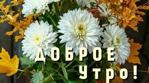 Ура! Суббота! Выходные! С добрым утром.  Шикарная музыкальная открытка.
