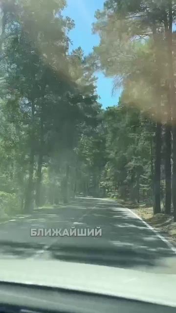 У него будет лучшее сочинение на тему «Как я провёл лето». смотреть онлайн