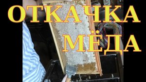 Откачка мёда. Как откачать мед?