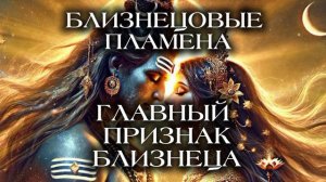 ГЛАВНЫЙ ПРИЗНАК БЛИЗНЕЦА
