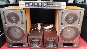 Вега 35АС-105-1 Вега 10У-120С Radiotehnika 6АС-2 - когда удачно зашёл!