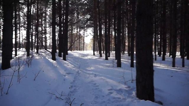 A3500 digital camera video test 00012.MTS смотреть онлайн