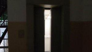 Лифт ЩЛЗ 2021 г.в. Домодедово, Корнеева 44 [П-3]